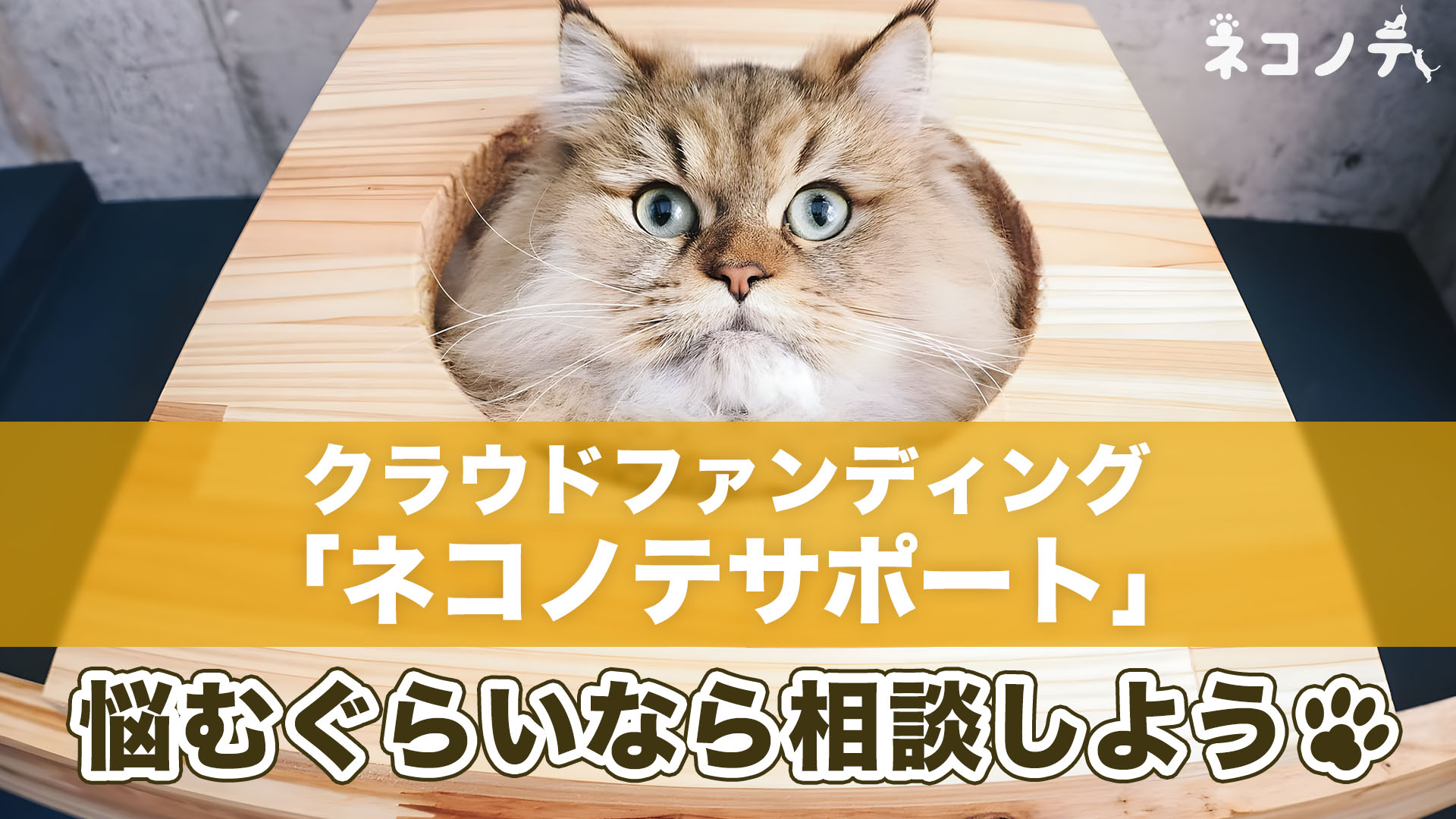 世界を変えろ｜クラウドファンディングが規制された世界線 - nekonotenekonote